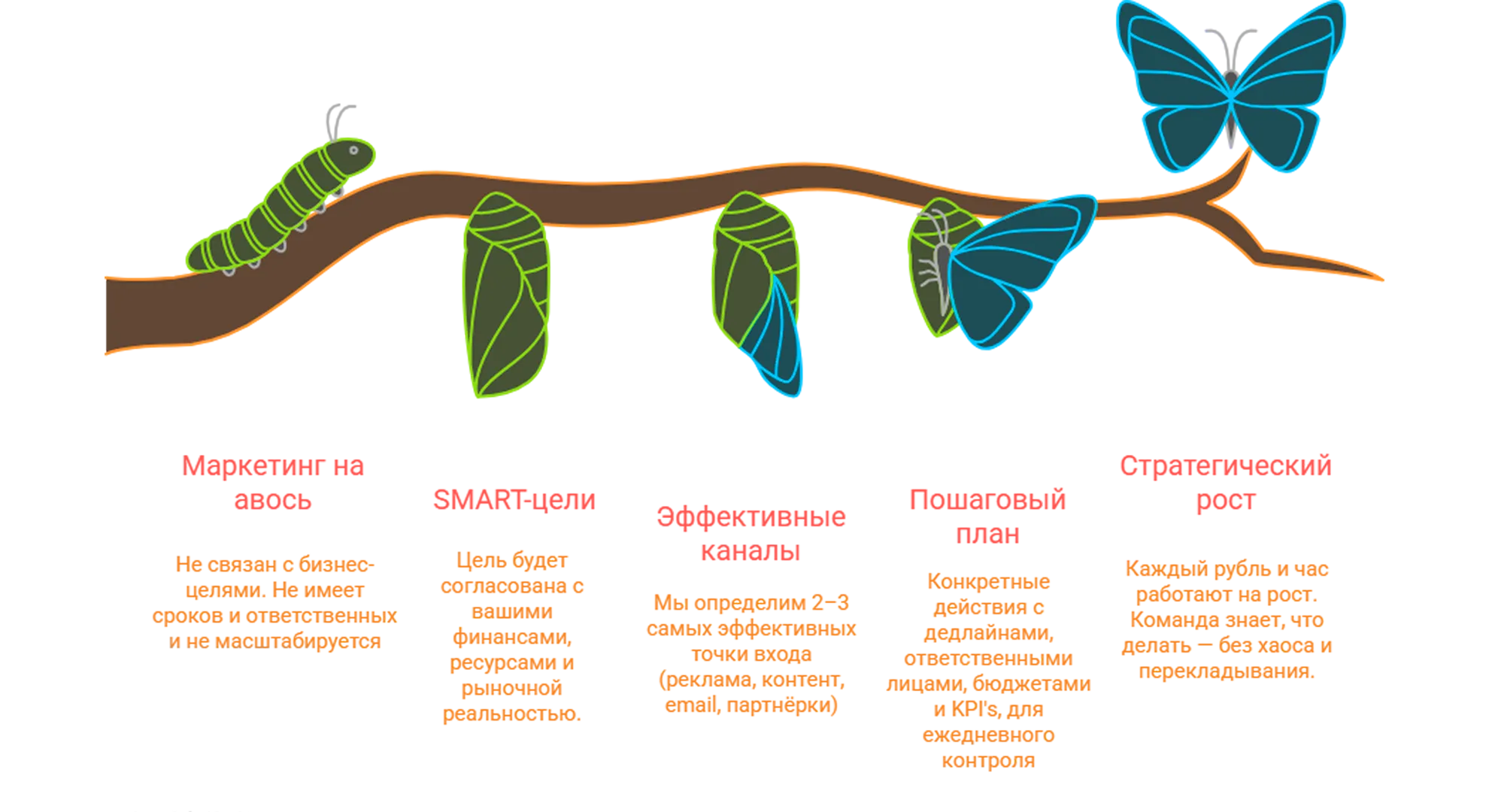 Разработка стратегии продвижения